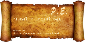 Pluhár Erzsébet névjegykártya